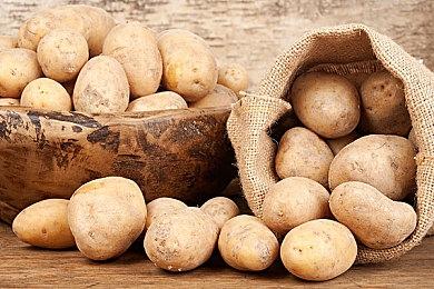 创意手摇把掌机Playdate实机游戏演示 7月正式发售